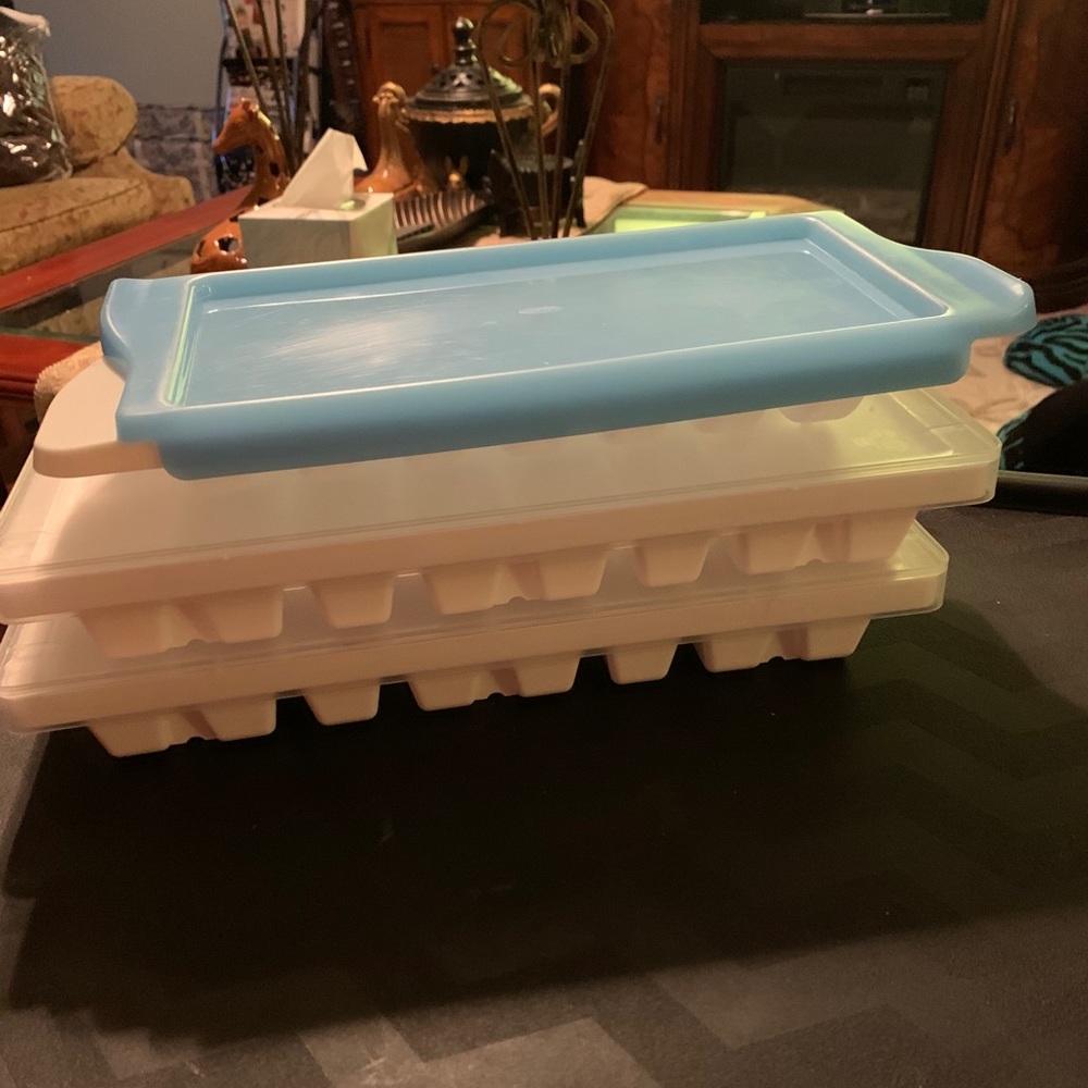Three Ice Trays with Lids - Picture 2 of 6